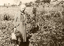 Мария Андреевна Лаврова в своём огороде около учительского дома. Муствеэ, август 1959 г.
