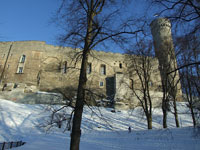 Таллинн. Вышгород. Башня «Pikk Hermann» («Длинный Герман») и крепостная стена слева от нее. Вид от стадиона