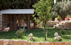 Бейт-Сахур. Монастырь Пастушков. Слева в клетке можно разглядеть павлина. 11 октября 2014 г.