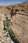 Иудейская пустыня. Лавра прп. Саввы Освященного. Вид со смотровой площадки влево на долину Кедрон. 11 октября 2014 г.