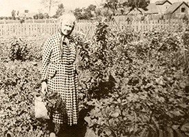 Мария Андреевна Лаврова (62 года) в своём огороде около учительского дома. Муствеэ, август 1959 г.